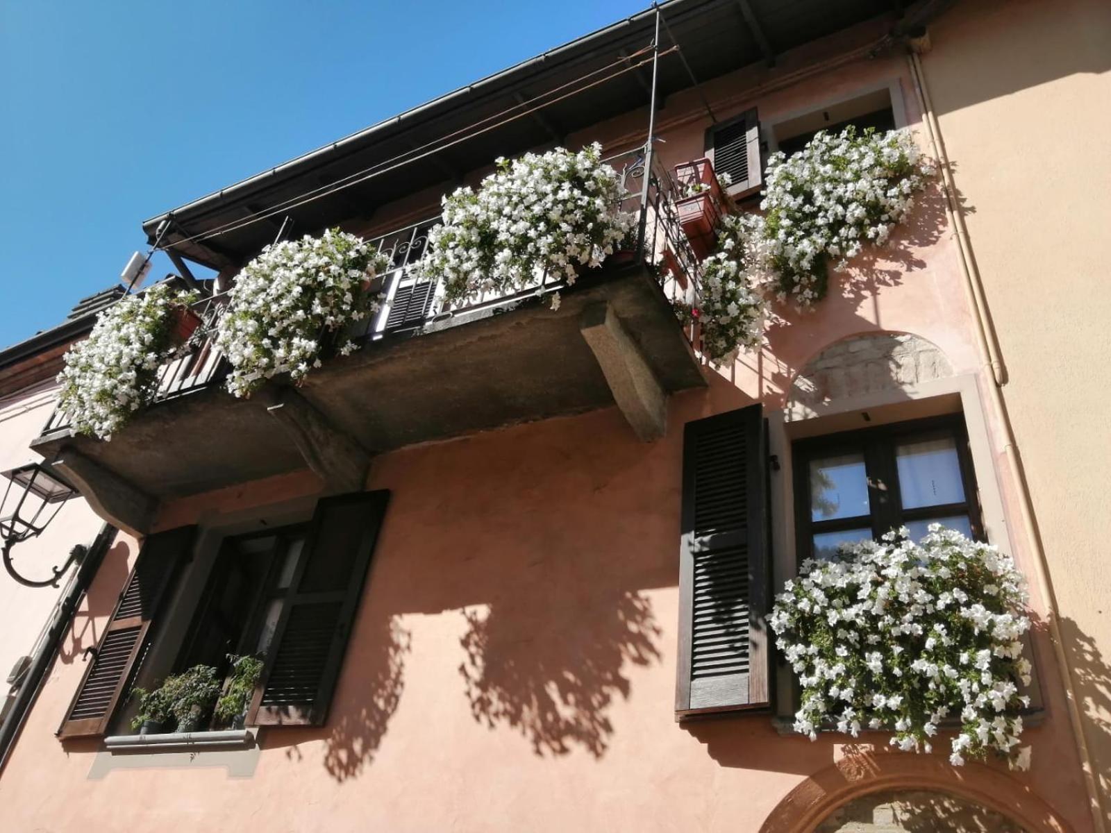 Holiday House Antica Dimora Soggiorni In Langa Centro Storico La Morra Luaran gambar